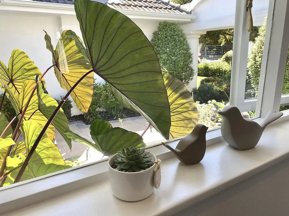 The Dongola Guesthouse Cape Town